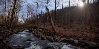 The sun pokes through the trees as the Beacon Hill Brook roars through the Three Sister Preserve in Bethany after a rainstorm. The Bethany Land Trust and Connecticut Water Company ensured 20 acres of land along Route 63 will remain protected open space in perpetuity available for the public to enjoy.  