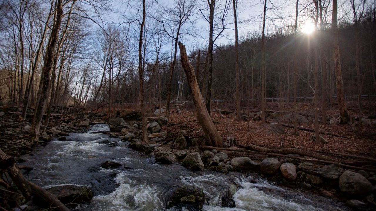 The sun pokes through the trees as the Beacon Hill Brook roars through the Three Sister Preserve in Bethany after a rainstorm. The Bethany Land Trust and Connecticut Water Company ensured 20 acres of land along Route 63 will remain protected open space in perpetuity available for the public to enjoy.  