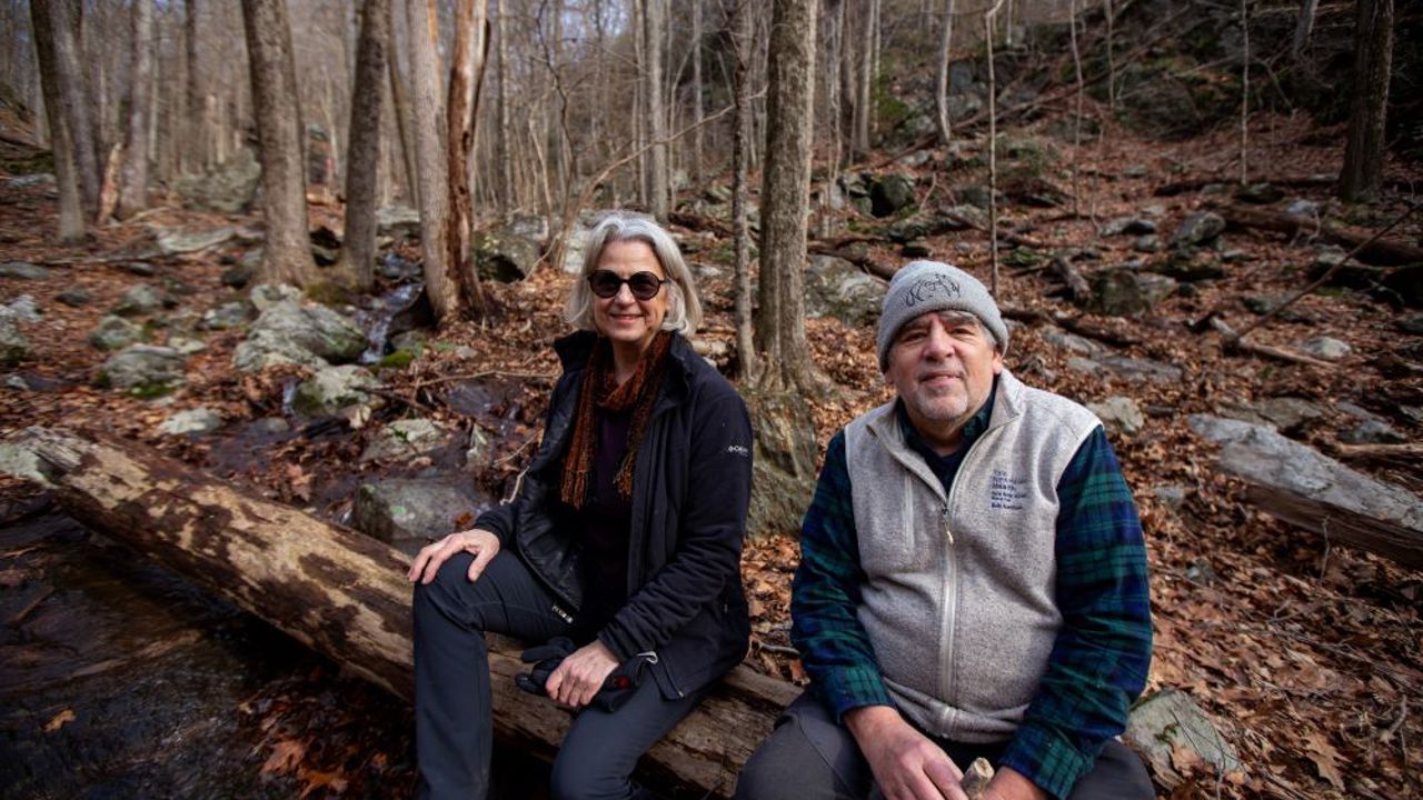 Bethany Land Trust President Carol Lambiase and Board Member Bob Harrison sit on a fallen tree as water from recent rains cascade through the nearby rocks at the Three Sisters Preserve. The Bethany Land Trust and Connecticut Water Company ensured 20 acres of land along Route 63 will remain protected open space in perpetuity available for the public to enjoy.    | Richie Rathsack, Connecticut Water